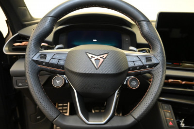 Cupra Terramar Gebrauchtwagen