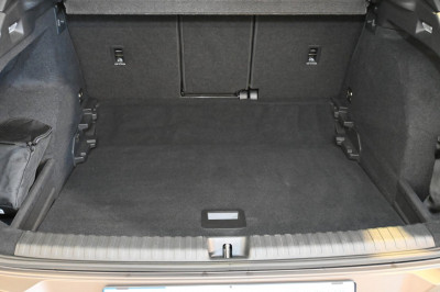 Cupra Terramar Gebrauchtwagen