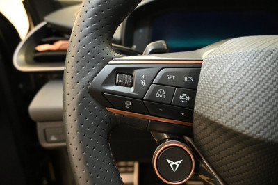 Cupra Terramar Gebrauchtwagen