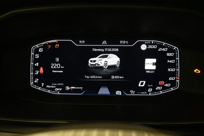 Cupra Formentor Gebrauchtwagen