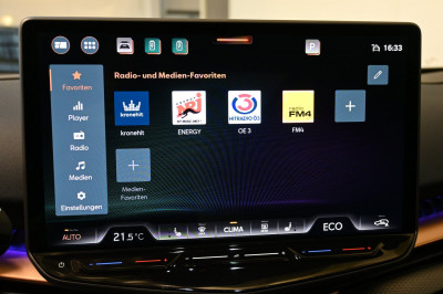 Cupra Tavascan Gebrauchtwagen