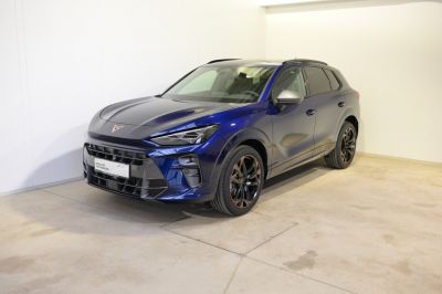 Cupra Terramar Gebrauchtwagen