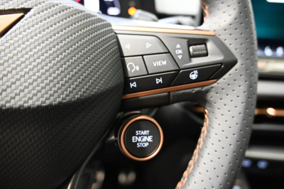 Cupra Terramar Gebrauchtwagen