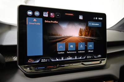 Cupra Terramar Gebrauchtwagen