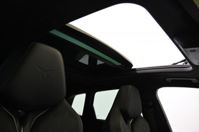 Cupra Terramar Gebrauchtwagen