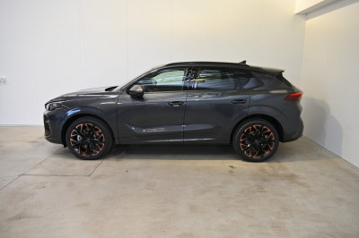 Cupra Terramar Gebrauchtwagen