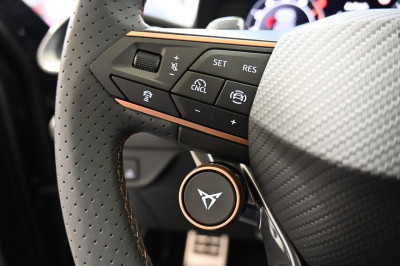 Cupra Terramar Gebrauchtwagen