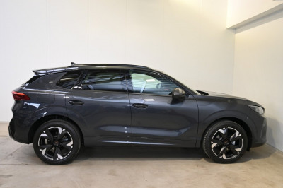 Cupra Terramar Gebrauchtwagen