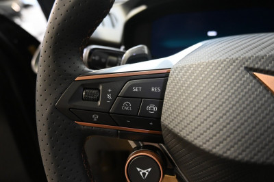 Cupra Terramar Gebrauchtwagen