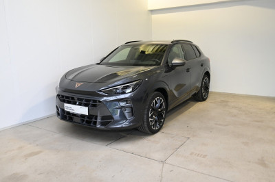 Cupra Terramar Gebrauchtwagen Cupra Terramar Gebrauchtwagen