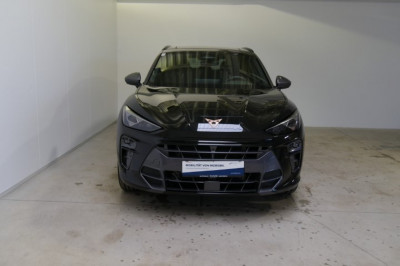 Cupra Terramar Gebrauchtwagen Cupra Terramar Gebrauchtwagen