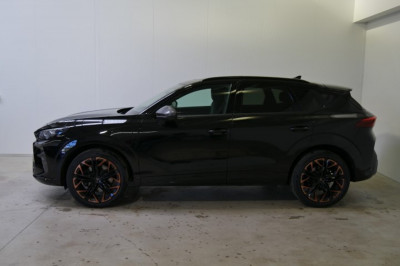 Cupra Terramar Gebrauchtwagen Cupra Terramar Gebrauchtwagen