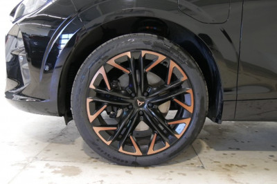 Cupra Terramar Gebrauchtwagen Cupra Terramar Gebrauchtwagen