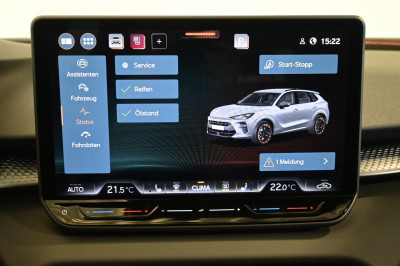 Cupra Terramar Gebrauchtwagen