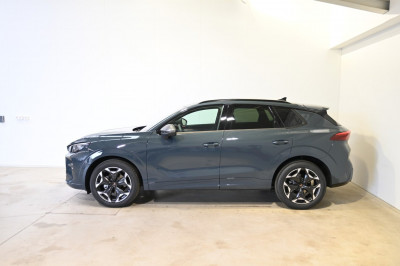 Cupra Terramar Gebrauchtwagen