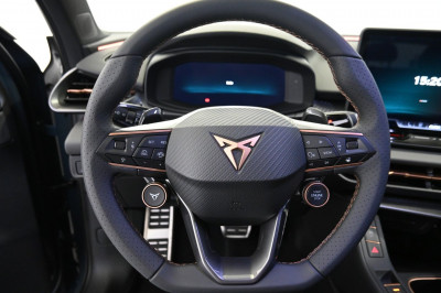 Cupra Terramar Gebrauchtwagen