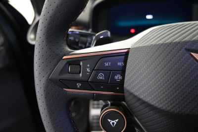 Cupra Terramar Gebrauchtwagen