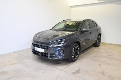 Cupra Terramar Gebrauchtwagen Cupra Terramar Gebrauchtwagen
