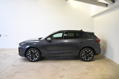 Cupra Terramar Gebrauchtwagen Cupra Terramar Gebrauchtwagen