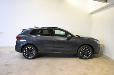 Cupra Terramar Gebrauchtwagen Cupra Terramar Gebrauchtwagen