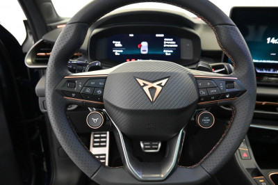 Cupra Terramar Gebrauchtwagen Cupra Terramar Gebrauchtwagen