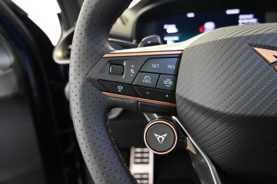 Cupra Terramar Gebrauchtwagen Cupra Terramar Gebrauchtwagen