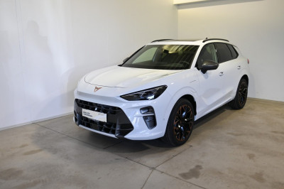 Cupra Terramar Gebrauchtwagen Cupra Terramar Gebrauchtwagen