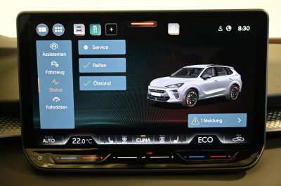 Cupra Terramar Gebrauchtwagen Cupra Terramar Gebrauchtwagen