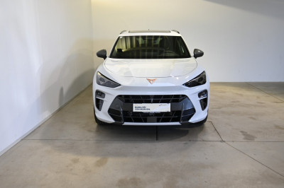 Cupra Terramar Gebrauchtwagen Cupra Terramar Gebrauchtwagen