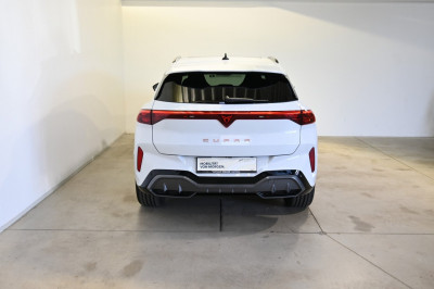 Cupra Terramar Gebrauchtwagen Cupra Terramar Gebrauchtwagen