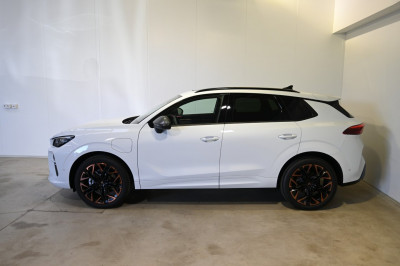 Cupra Terramar Gebrauchtwagen Cupra Terramar Gebrauchtwagen