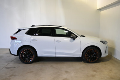 Cupra Terramar Gebrauchtwagen Cupra Terramar Gebrauchtwagen