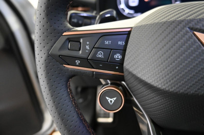 Cupra Terramar Gebrauchtwagen Cupra Terramar Gebrauchtwagen