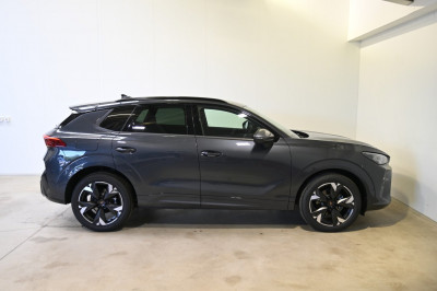 Cupra Terramar Gebrauchtwagen Cupra Terramar Gebrauchtwagen
