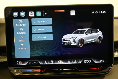 Cupra Terramar Gebrauchtwagen