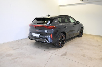 Cupra Terramar Gebrauchtwagen