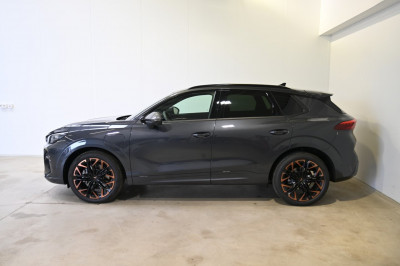 Cupra Terramar Gebrauchtwagen