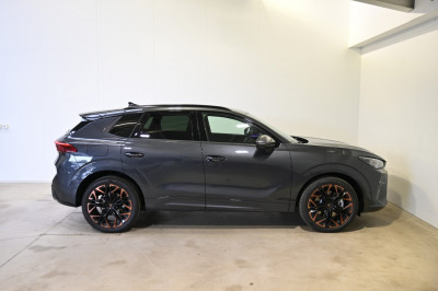 Cupra Terramar Gebrauchtwagen