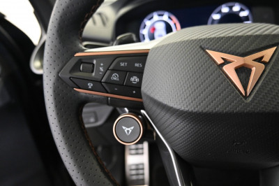 Cupra Terramar Gebrauchtwagen