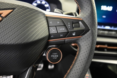 Cupra Terramar Gebrauchtwagen