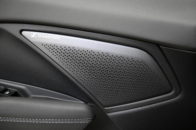 Cupra Terramar Gebrauchtwagen