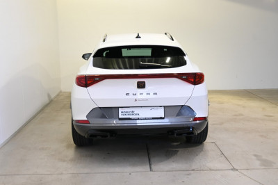 Cupra Formentor Gebrauchtwagen Cupra Formentor Gebrauchtwagen