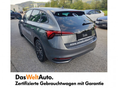 Skoda Scala Gebrauchtwagen