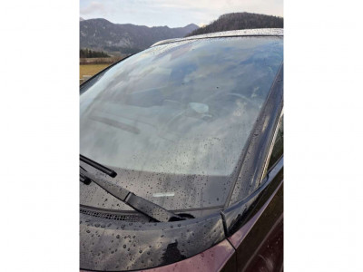 Renault Scénic Gebrauchtwagen