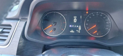 Renault Trafic Gebrauchtwagen