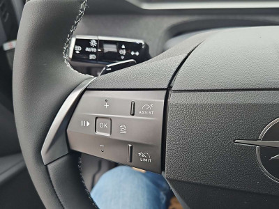 Opel Grandland Tageszulassung