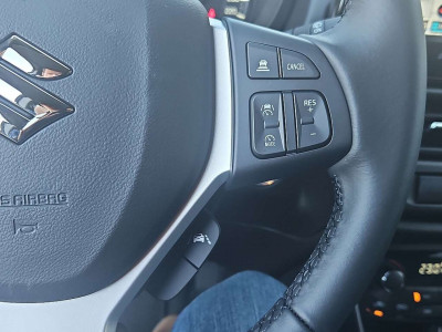 Suzuki S-Cross Tageszulassung