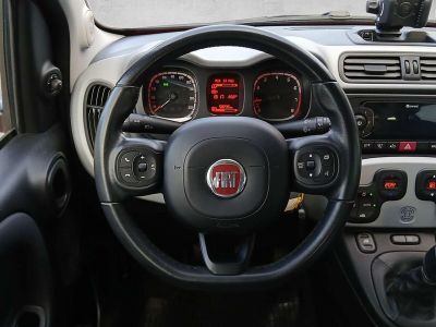 Fiat Panda Gebrauchtwagen Fiat Panda Gebrauchtwagen