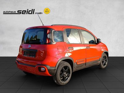 Fiat Panda Gebrauchtwagen Fiat Panda Gebrauchtwagen