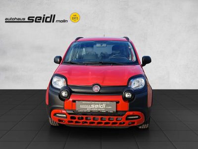 Fiat Panda Gebrauchtwagen Fiat Panda Gebrauchtwagen